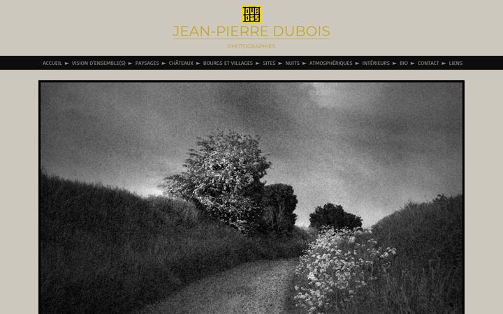 Screenshot of jipi-dubois-photographies.fr