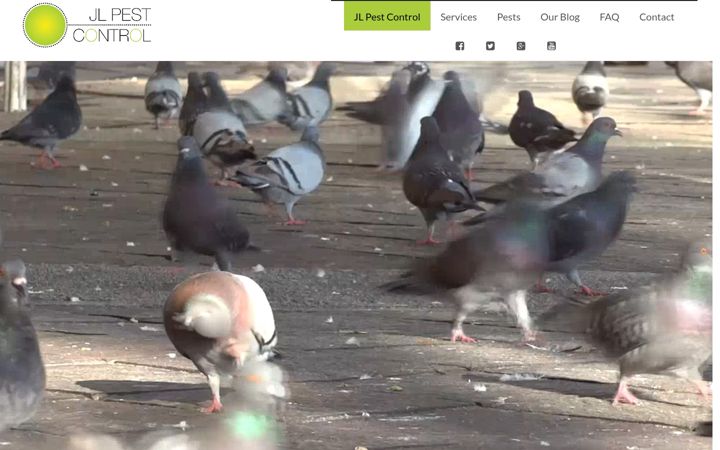 Screenshot of jlpestcontrol.co.uk