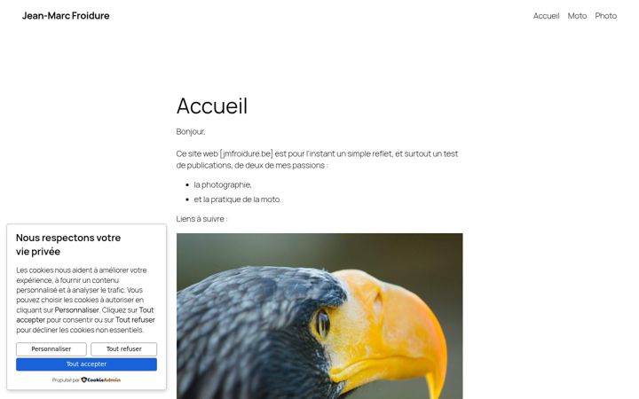 Screenshot of jmfroidure.be