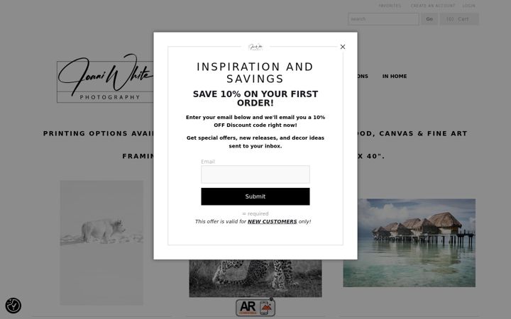 Screenshot of joaniwhitephotography.com
