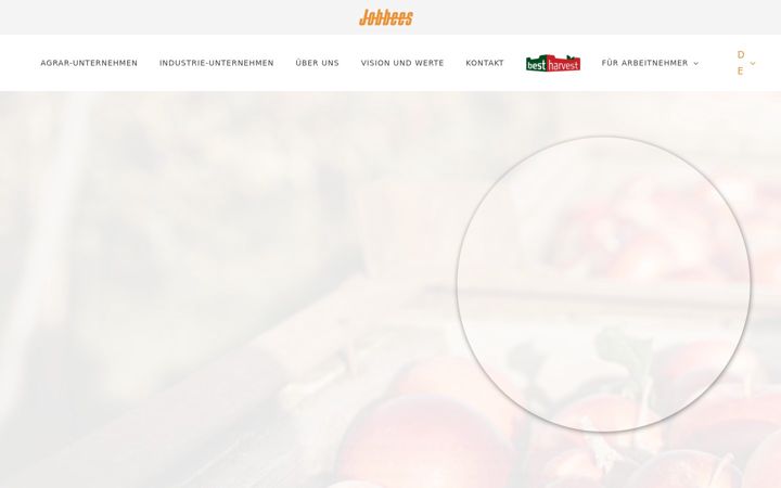 Screenshot of job-bees.de