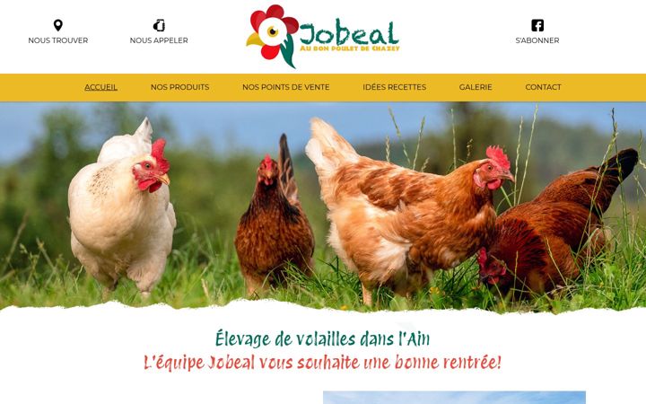 Screenshot of jobeal.fr
