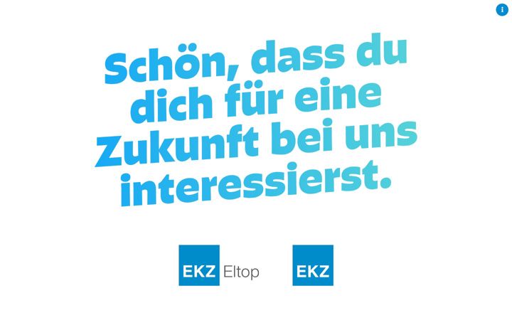 Screenshot ta' jobzukunft.ch