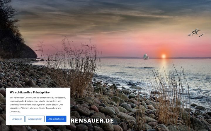 Screenshot of jochensauer.de