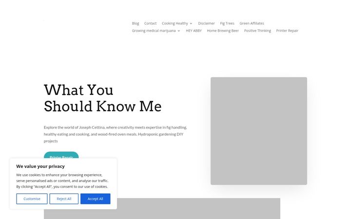 Screenshot of joecettina.com