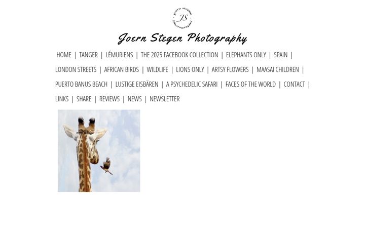 Screenshot of joernstegenphotography.com