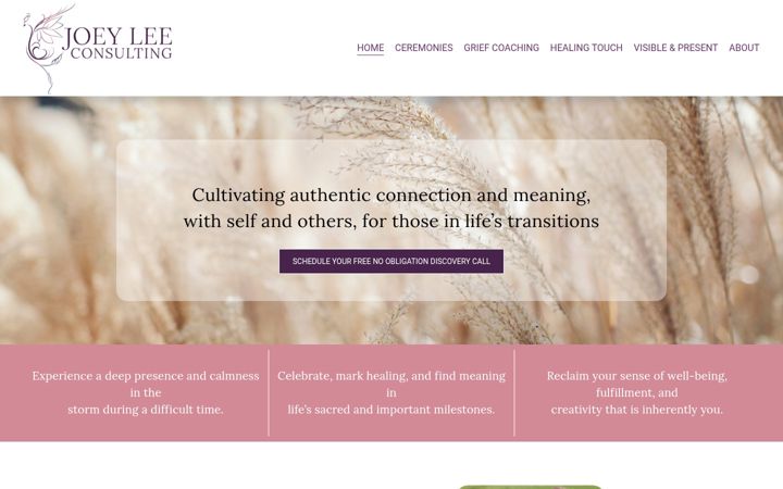 Screenshot of joeyleeconsulting.com