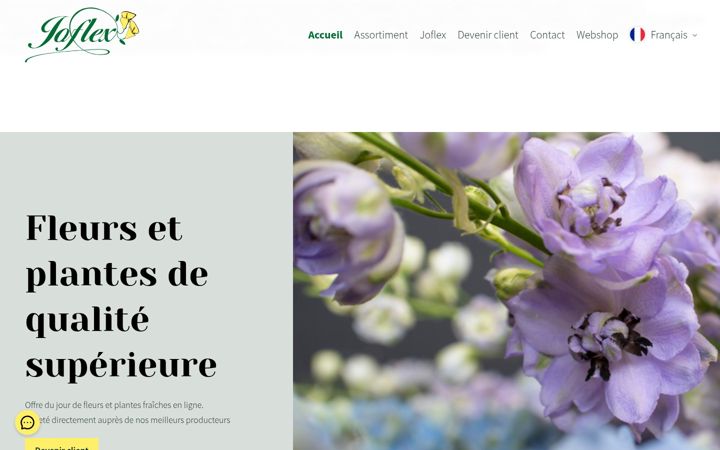 Screenshot of joflex.nl
