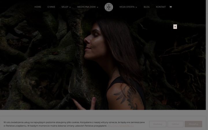 Screenshot of jogisza.pl