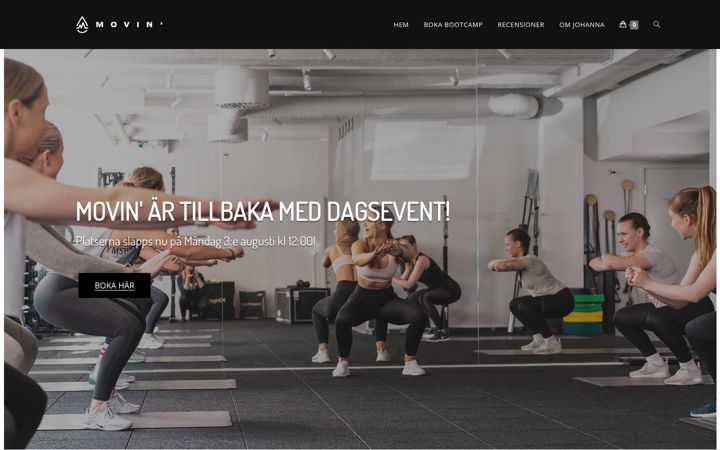 Screenshot of johannamodin.com