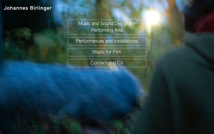 Screenshot of johannesbirlinger.com