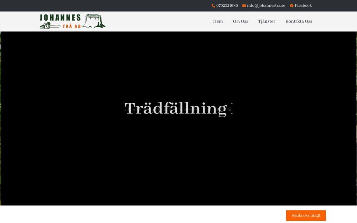 Screenshot of johannestra.se