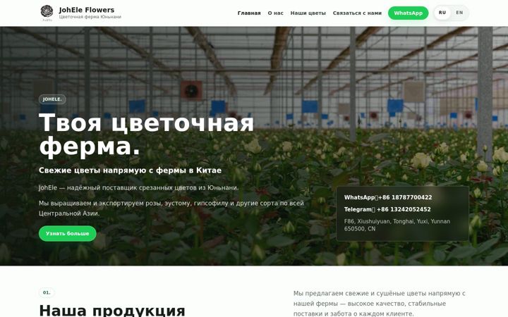 Screenshot of johele.com