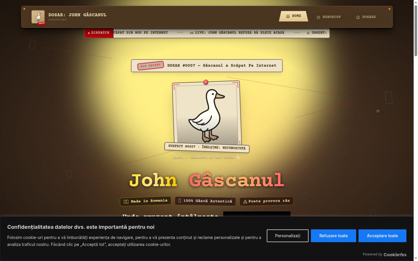 Screenshot of the consent banner shown before any interaction