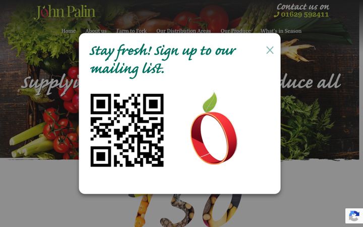 Screenshot of john-palin.co.uk