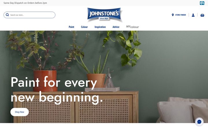 Screenshot of johnstonespaint.com