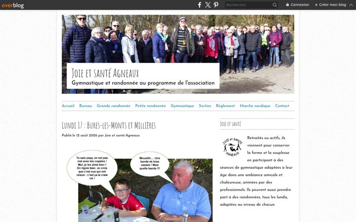 Screenshot of joietsante.com