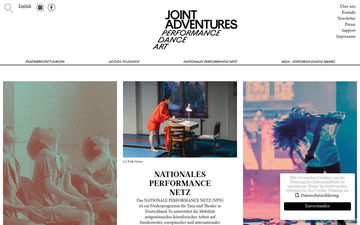 Screenshot of jointadventures.net