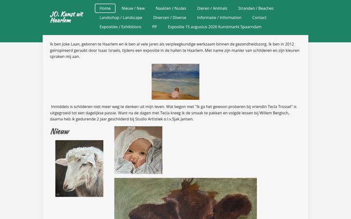 Screenshot of jokelaan.com