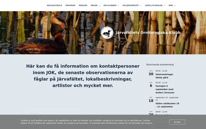 Screenshot of jokhemsida.se