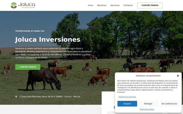 Screenshot of jolucainversiones.com