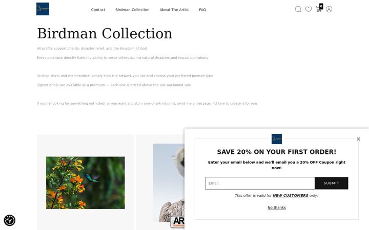 Screenshot of jonhowardart.com
