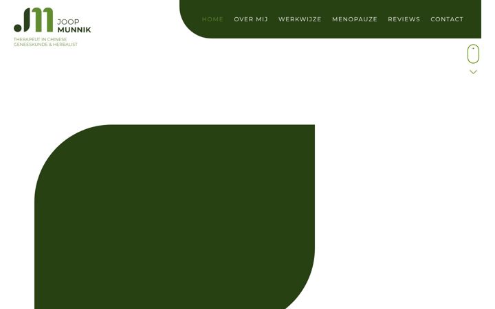 Screenshot of joopmunnik.be