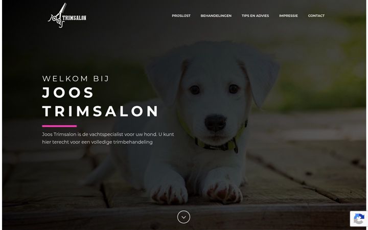 Screenshot of joostrimsalon.nl