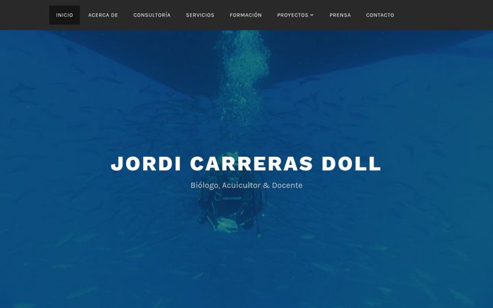 Screenshot of jordicarrerasdoll.com