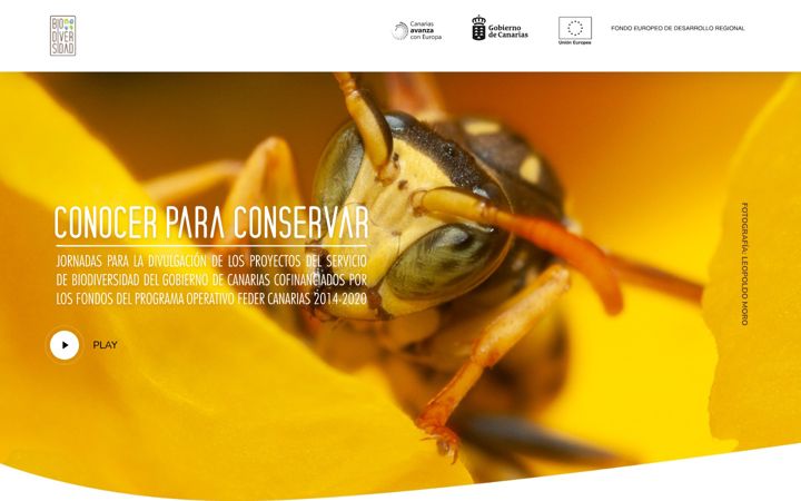 Screenshot of jornadasdifusionfeder.es