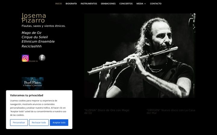 Screenshot of josemapizarro.com