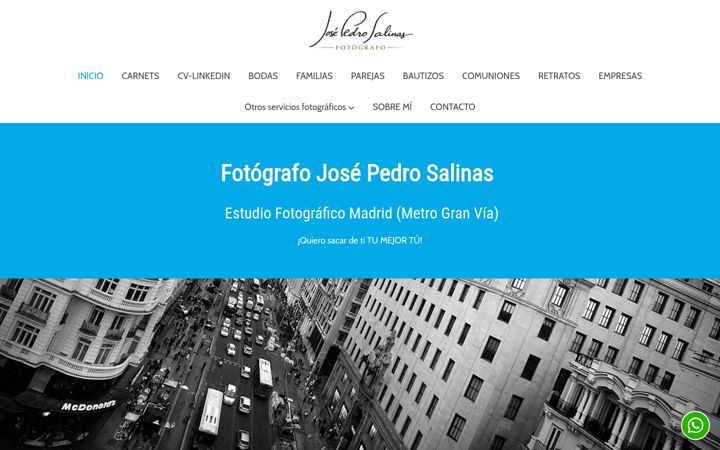 Screenshot of josepedrosalinas.com