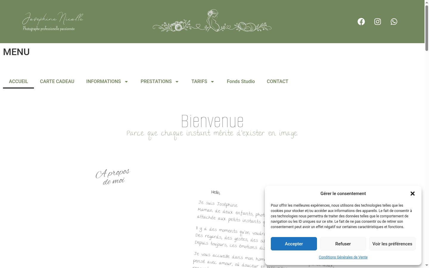 Screenshot van de toestemmingsbanner zoals getoond vóór enige interactie