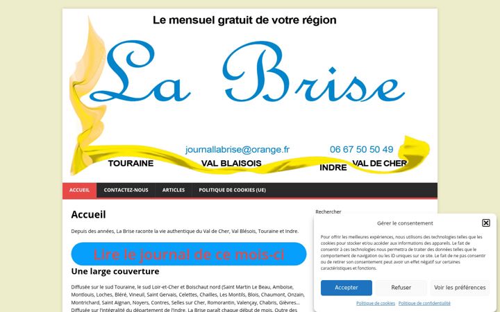 Screenshot of journal-labrise.com