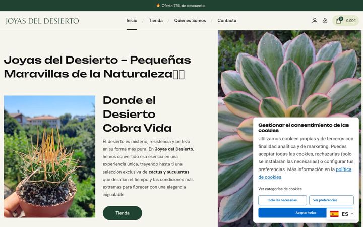Screenshot of joyasdeldesierto.com