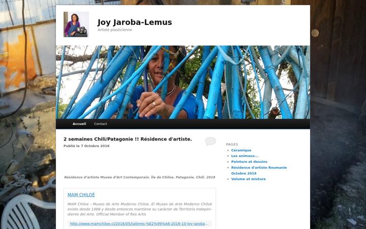 Screenshot of joyjaroba.com