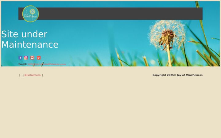 joyofmindfulness.com