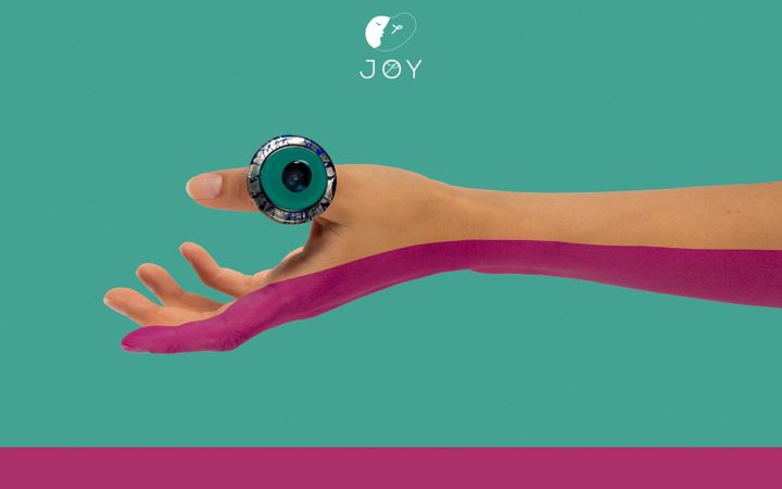 Screenshot of joyvenice.com