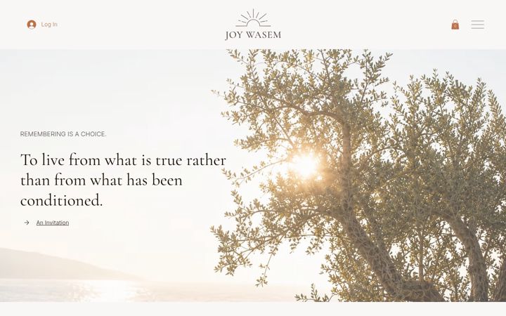 Screenshot of joywasem.de