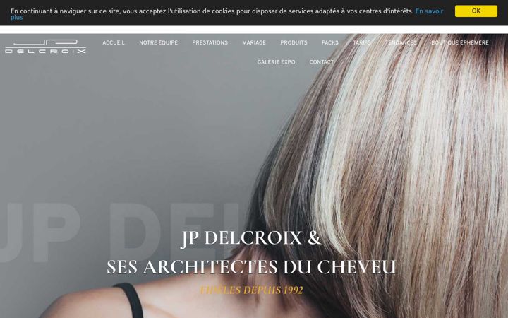 Skjámynd af jp-delcroix.com