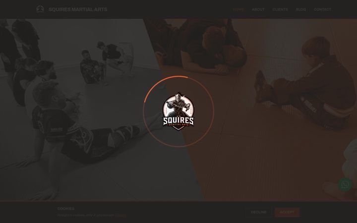 Screenshot of js-martialarts.com