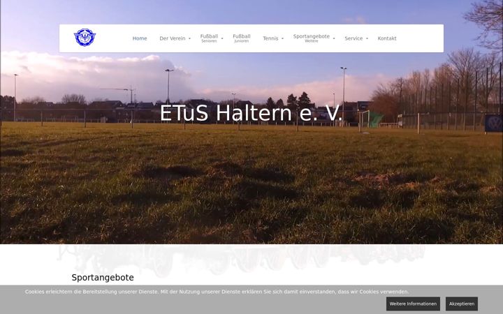 Screenshot of jsg-haltern.de