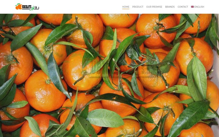 Screenshot of jsubirats.com