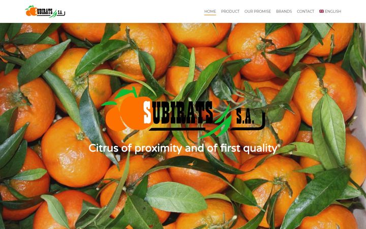 Screenshot of jsubirats.es