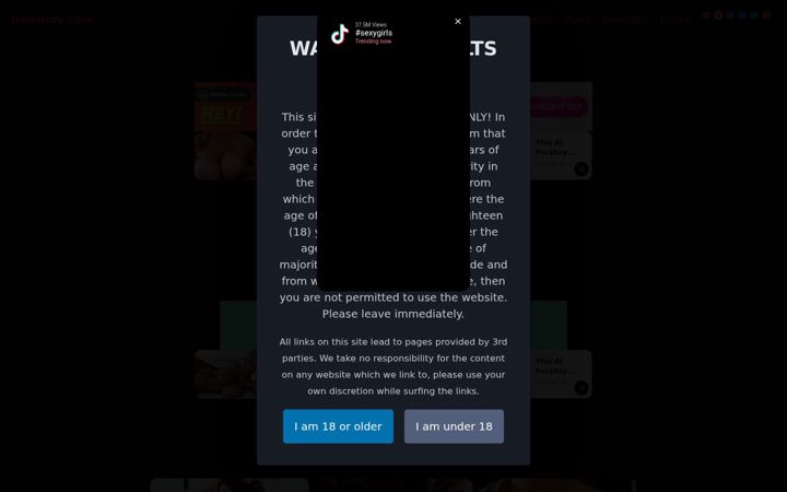 Screenshot of jsutandy.com