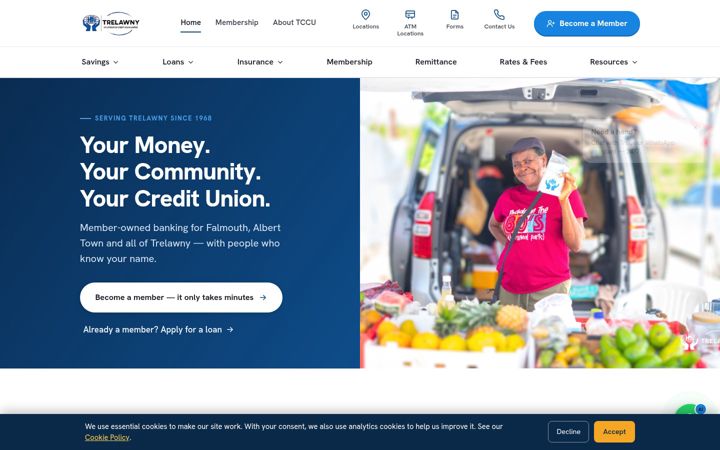 Screenshot of jtccu.com