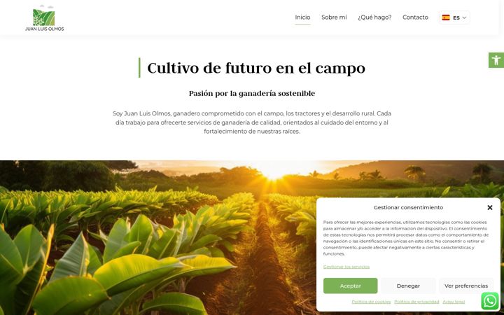 Screenshot of juanluisolmosmoreno.com