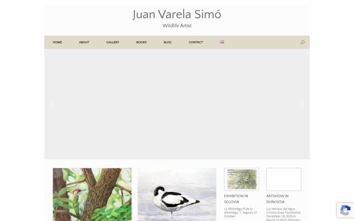 Screenshot of juanvarela.com