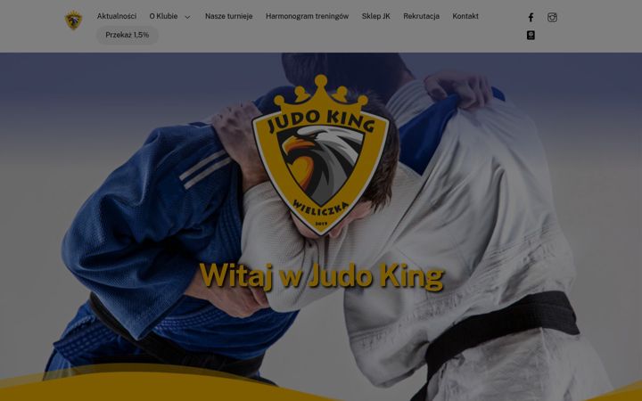 Screenshot of judoking.pl