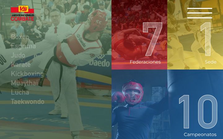 Screenshot of juegosdecombate.es